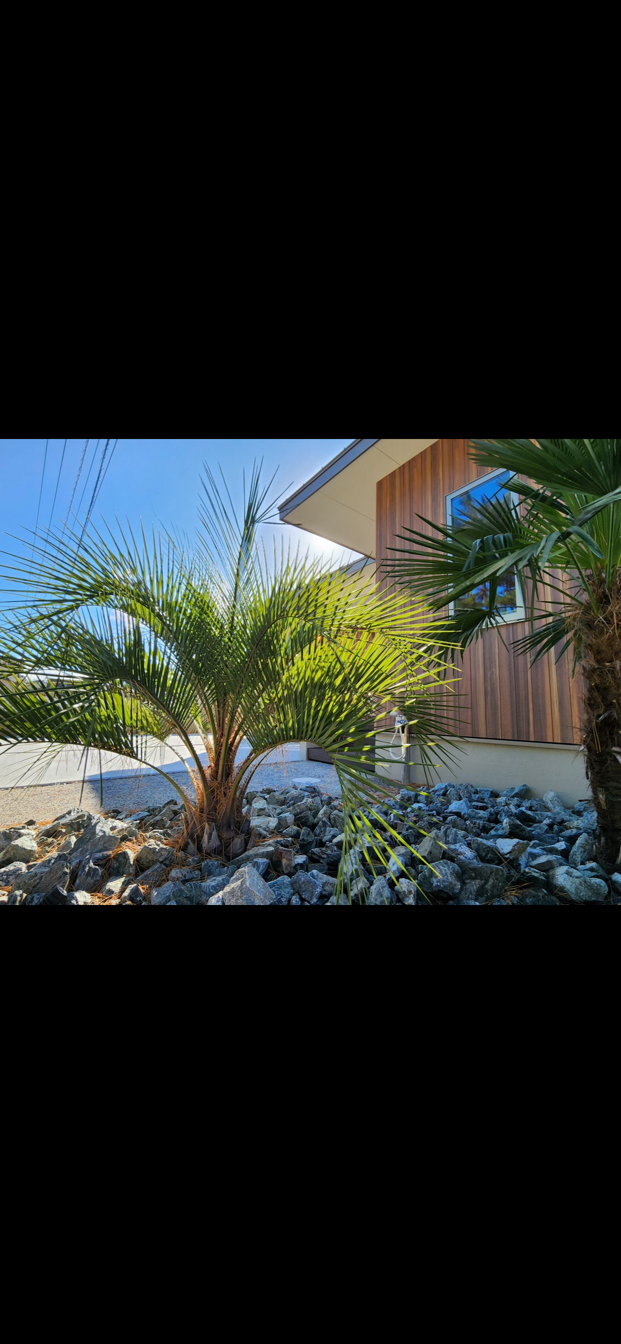 新築ヴィラタイプ旅館 - デッキ